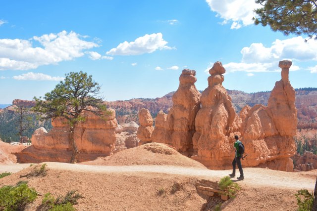 CoverMore_USA_BryceCanyon_HoodooView